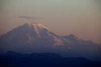 Mt Rainer