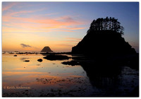 Cape Alava Sunset