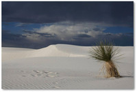 White Sands, NM