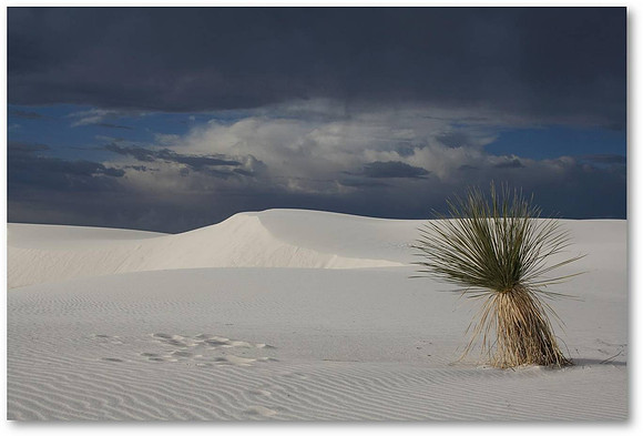 White Sands, NM