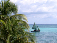 Belize Coaster