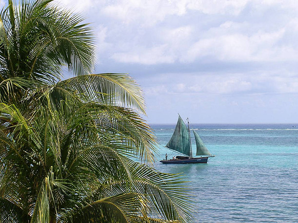 Belize Coaster