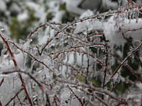 Ice