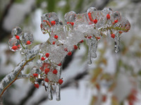 Red Ice