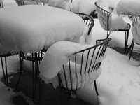 Icy Bistro